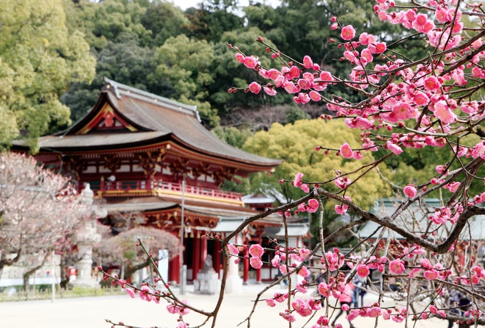 Dazaifu Tenmangu Shrine in fukuoka, Japan - One of Japan's most important Tenmangu shrines, dedicated to the deity of learning and scholarship, attracting millions of students seeking academic success.