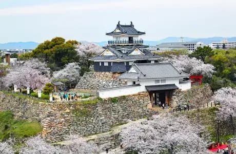 Hamamatsu Castle in shizuoka, Japan - The castle where Tokugawa Ieyasu spent his formative years, featuring reconstructed keep, beautiful park grounds, and historical exhibits about the shogun's early career.