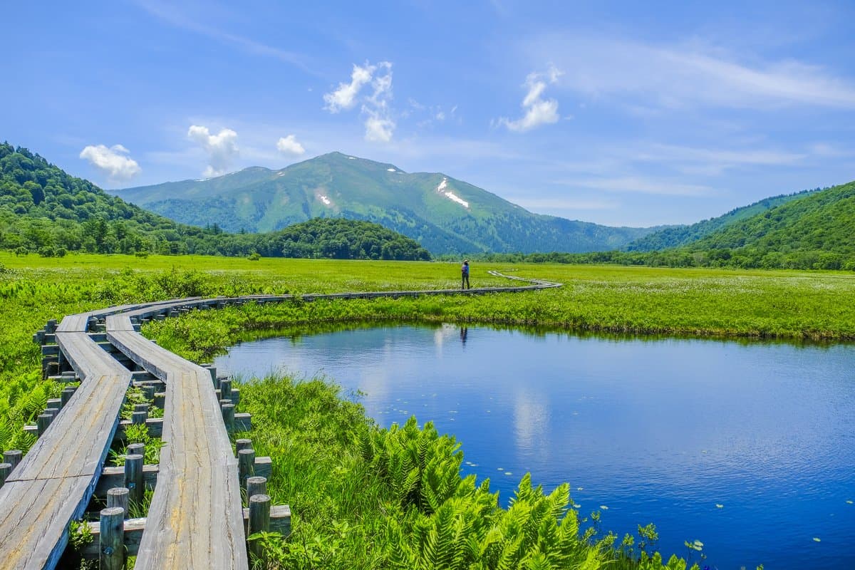 Oze National Park in gunma, Japan - A pristine highland marshland famous for wooden boardwalks through flowering wetlands, mirror-like ponds, and some of Japan's most spectacular alpine scenery.