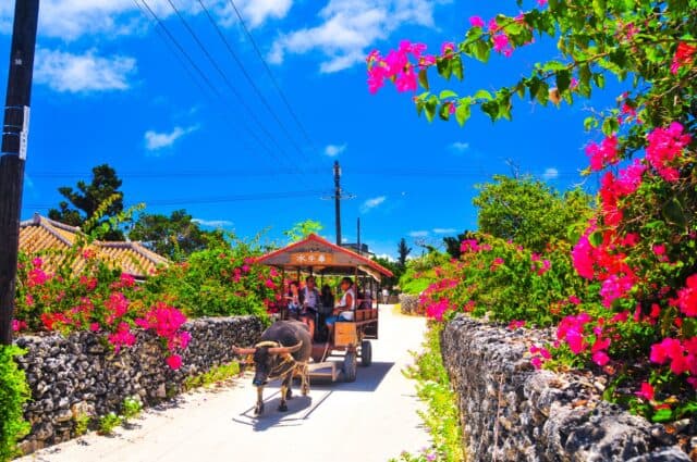 Taketomi Island in okinawa, Japan - Perfectly preserved traditional Ryukyuan village with red-tiled houses, white coral sand streets, and water buffalo cart tours offering a glimpse of old Okinawa.