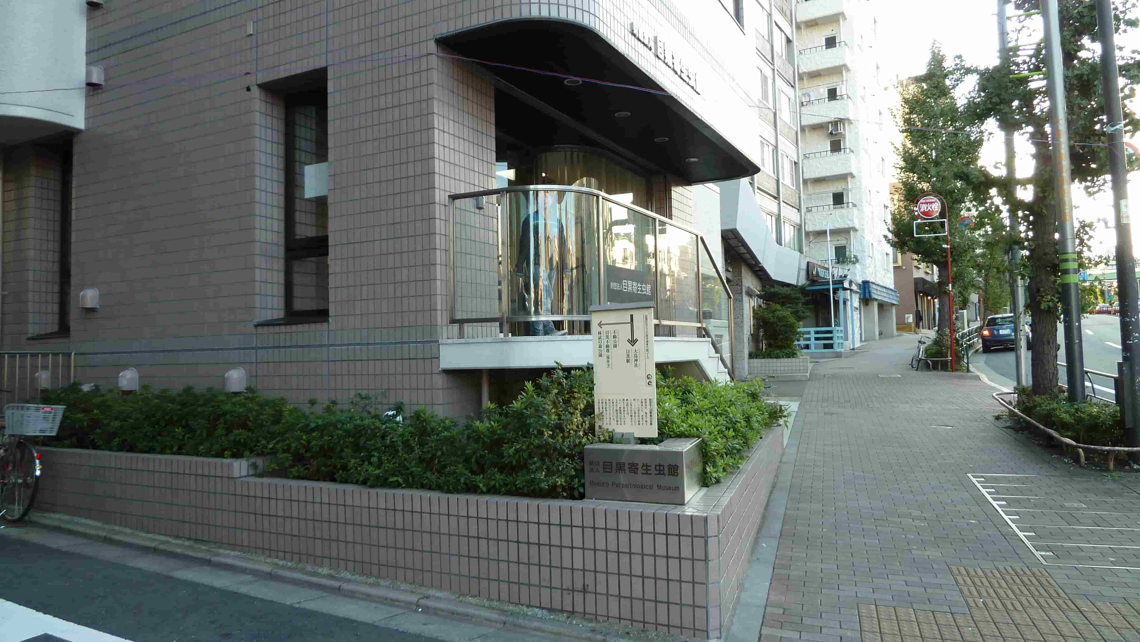 Meguro Parasitological Museum in tokyo, Japan - The world's only museum dedicated exclusively to parasites, displaying over 300 specimens including an 8.8-meter tapeworm, offering fascinatingly grotesque insights into parasitology with free admission.