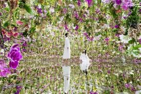 teamLab Planets Tokyo in tokyo, Japan - An immersive digital art museum where visitors walk through water and become one with massive interactive installations, creating a boundary-dissolving sensory experience.