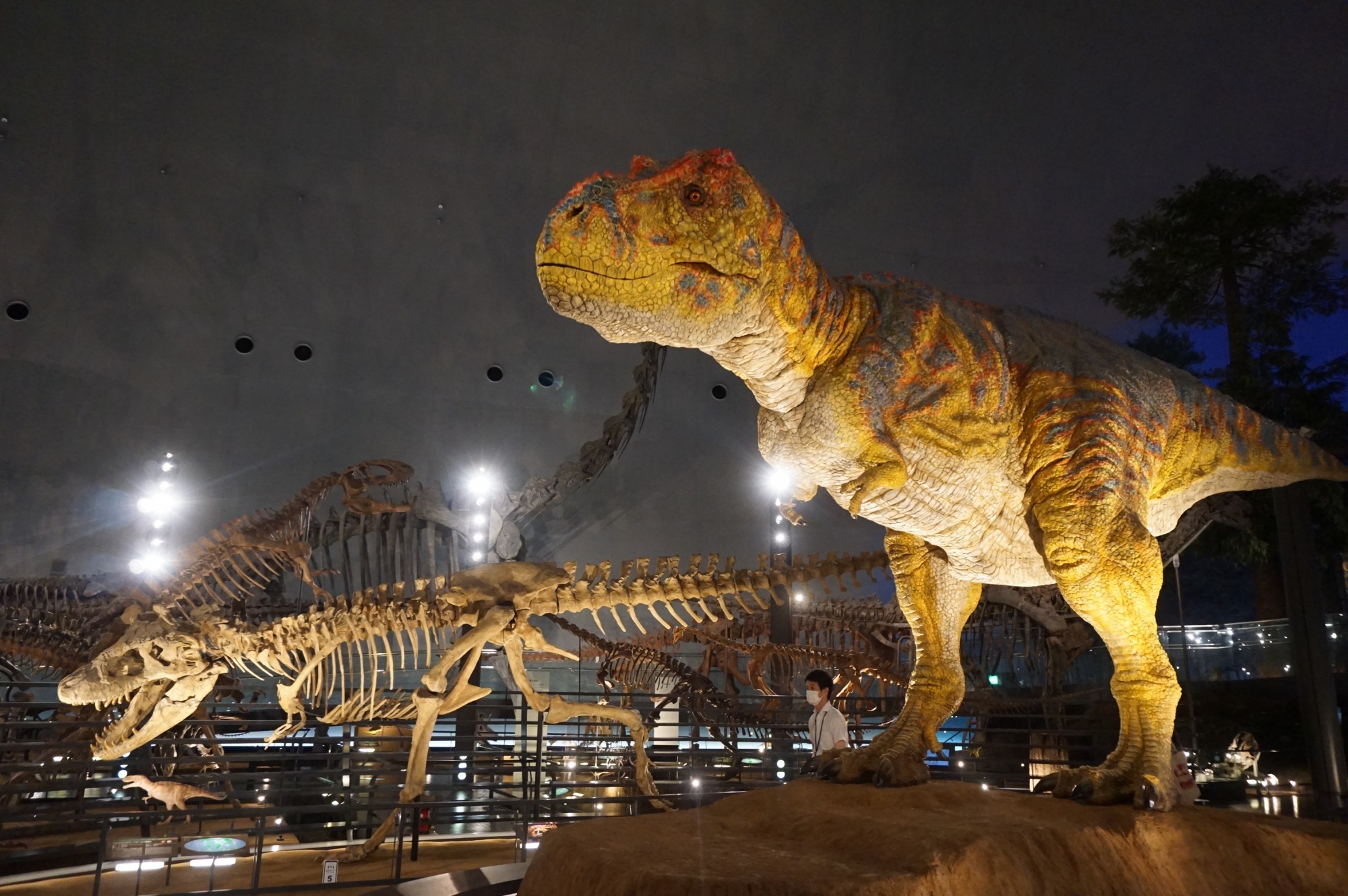 Fukui Prefectural Dinosaur Museum