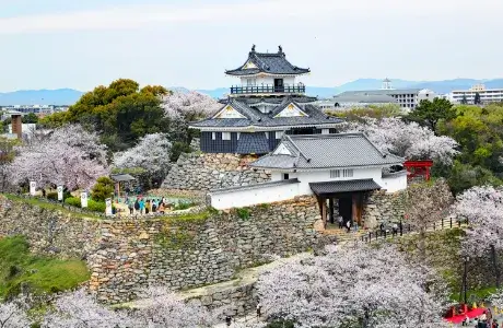 Hamamatsu Castle in shizuoka, Japan - The castle where Tokugawa Ieyasu spent his formative years, featuring reconstructed keep, beautiful park grounds, and historical exhibits about the shogun's early career.