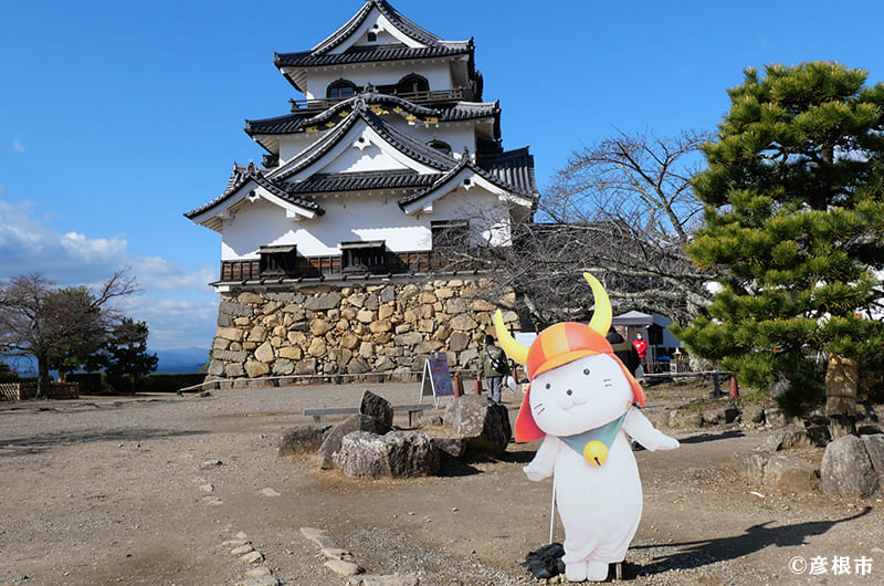 Hikone Castle in shiga, Japan - One of only five National Treasure castles in Japan, featuring an original keep, beautiful gardens, and scenic Lake Biwa views.