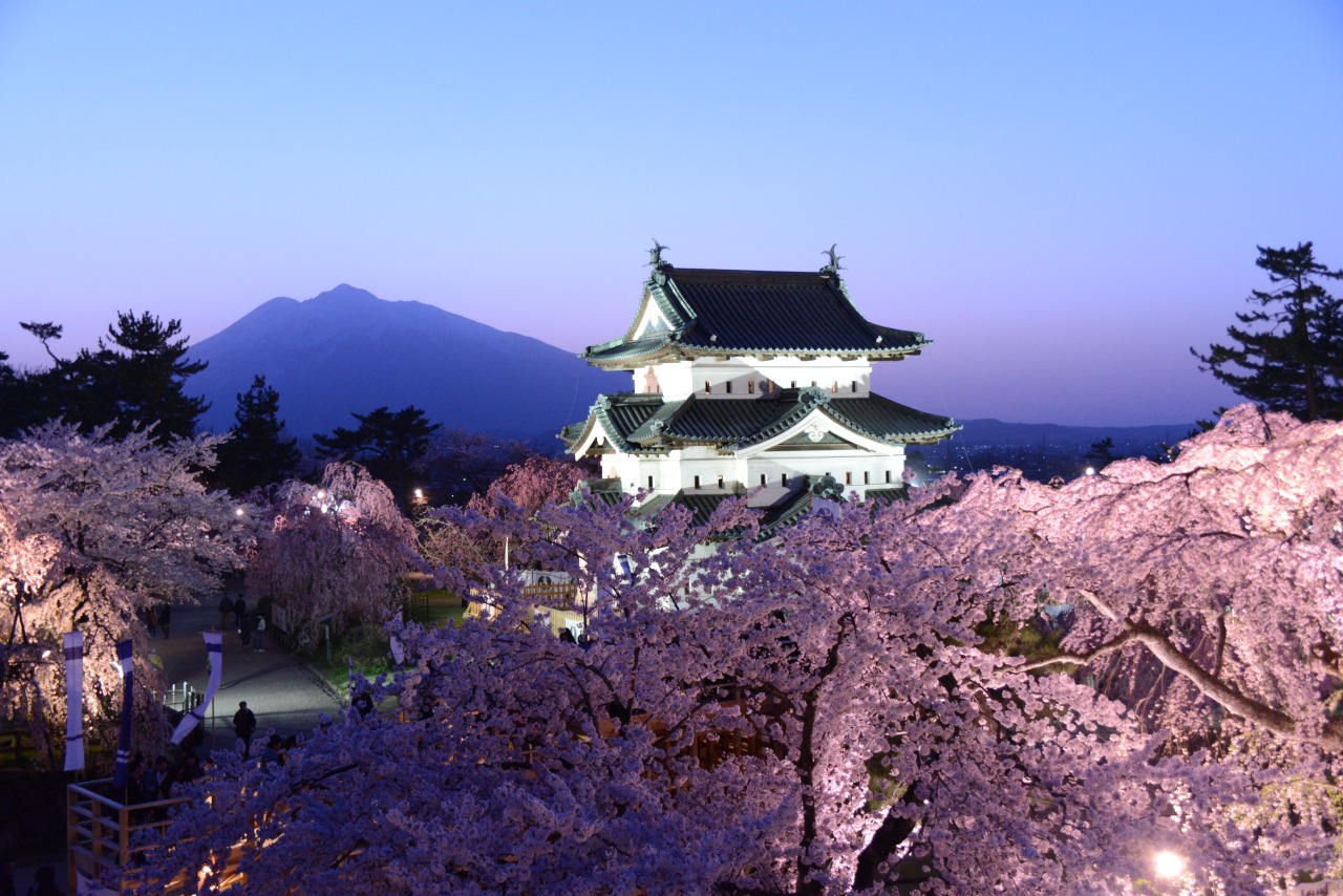 Hirosaki Castle in aomori, Japan - One of Japan's twelve surviving original castles, famous for its spectacular cherry blossom festival featuring over 2,600 cherry trees reflected in moat waters beneath the castle tower.
