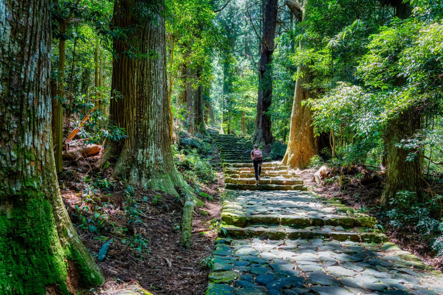 Kumano Kodo Pilgrimage Route