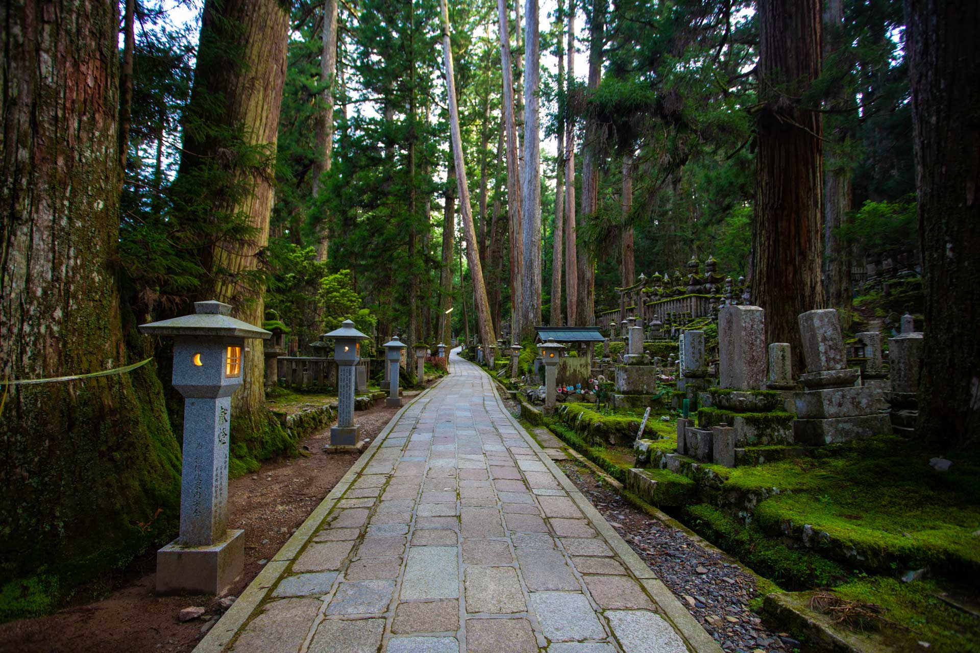 Mount Koya in wakayama, Japan - A sacred mountain monastery complex and the center of Shingon Buddhism, offering an authentic temple stay experience among 117 temples in a mystical mountain setting.