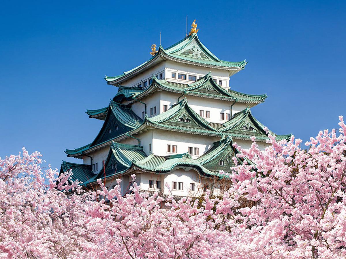 Nagoya Castle in aichi, Japan - A magnificent castle famous for its golden shachihoko (dolphin-like mythical creatures) adorning the roof. Originally built in 1612, it represents the power of the Tokugawa shogunate and the artistry of Japan's castle-building era.