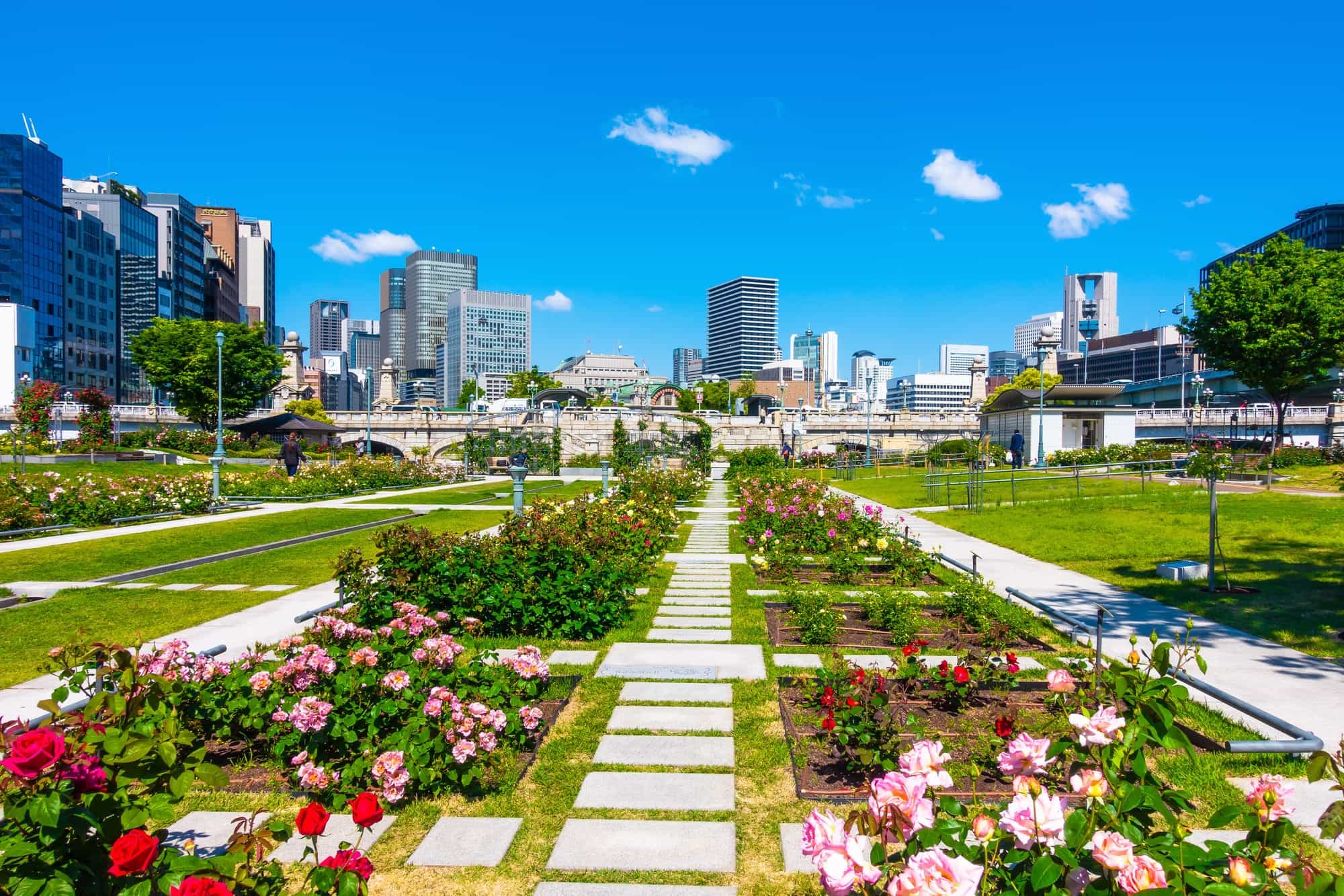 Nakanoshima Park in osaka, Japan - Osaka's first public park situated on a river island between the Dojima and Tosabori rivers, featuring rose gardens, historic Western-style buildings, and serving as downtown Osaka's green oasis.