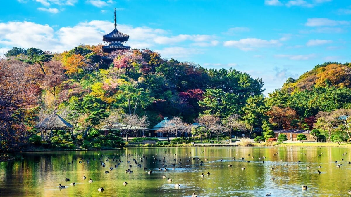 Sankeien Garden in kanagawa, Japan - A stunning 175,000 square meter traditional Japanese garden featuring historic buildings relocated from across Japan, seasonal flowers, ponds, and peaceful walking paths away from Yokohama's urban center.